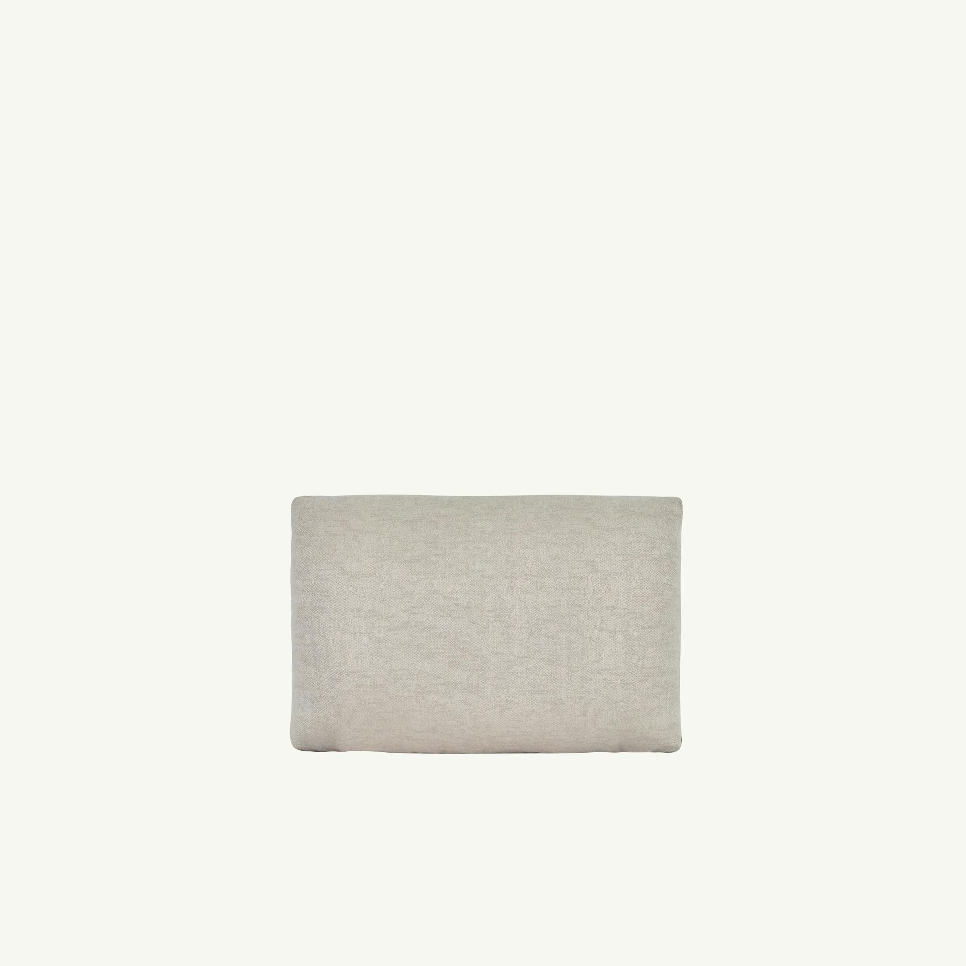 15.5" x 22" Cushion Accent Pillow